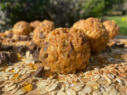 Protein Balls